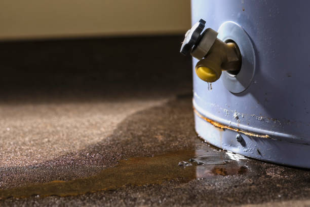 Best Carpet water damage restoration  in Dahlgren, VA