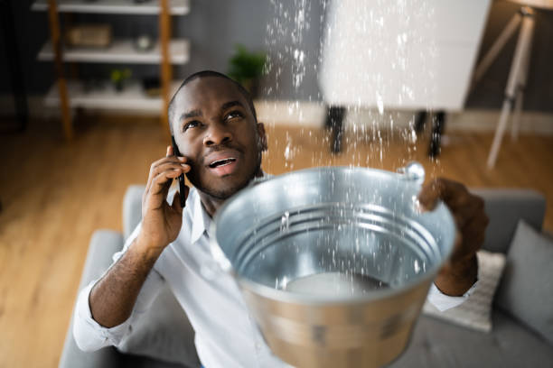 Best Fire Damage Restoration  in Dahlgren, VA
