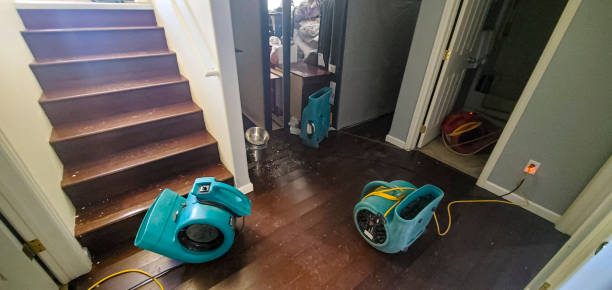 Best Sewage cleanup and water damage restoration  in Dahlgren, VA