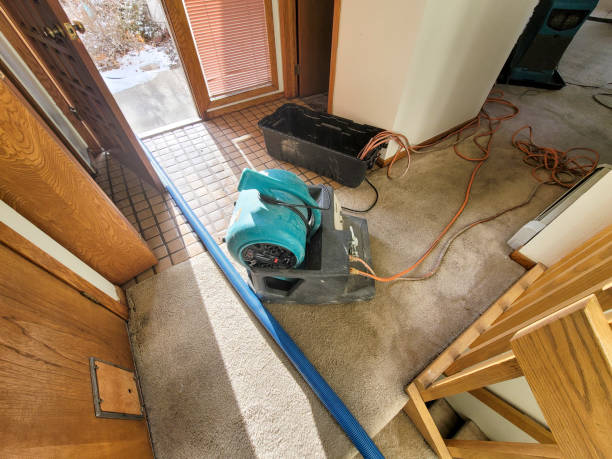Best 24-hour water damage restoration  in Dahlgren, VA