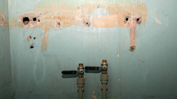 Best Emergency water damage restoration  in Dahlgren, VA