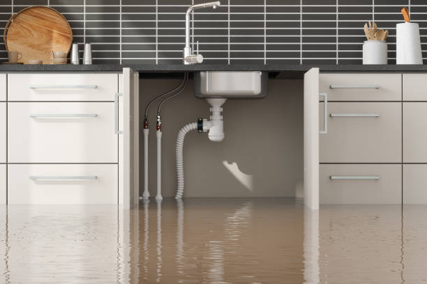 Best Flood restoration services  in Dahlgren, VA