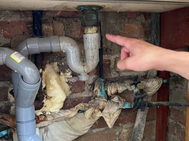 Best 24/7 water damage repair  in Dahlgren, VA